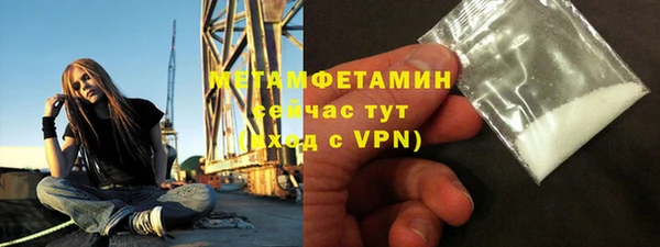 индика Дмитриев