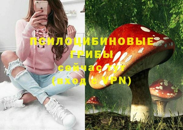 индика Дмитриев