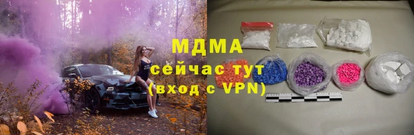 индика Дмитриев