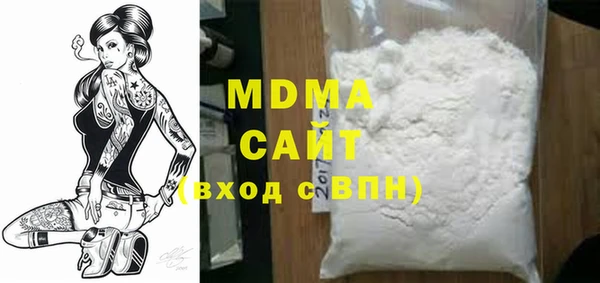 индика Дмитриев
