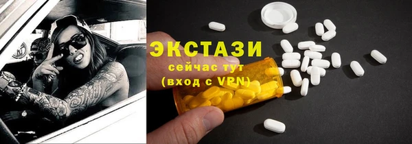 индика Дмитриев