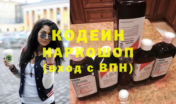 индика Дмитриев