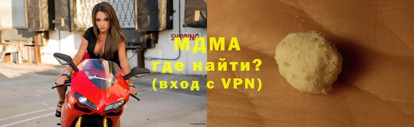 индика Дмитриев