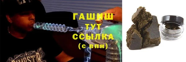 индика Дмитриев