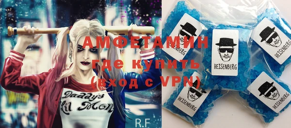 индика Дмитриев