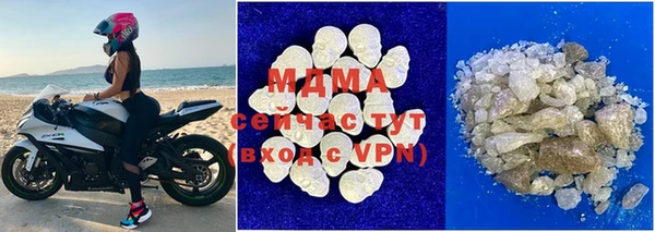 индика Дмитриев
