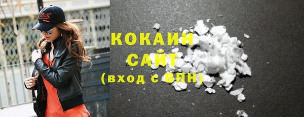 индика Дмитриев
