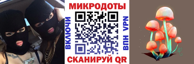 Купить где  Дмитров  Галлюциногенные грибы GOLDEN TEACHER 
